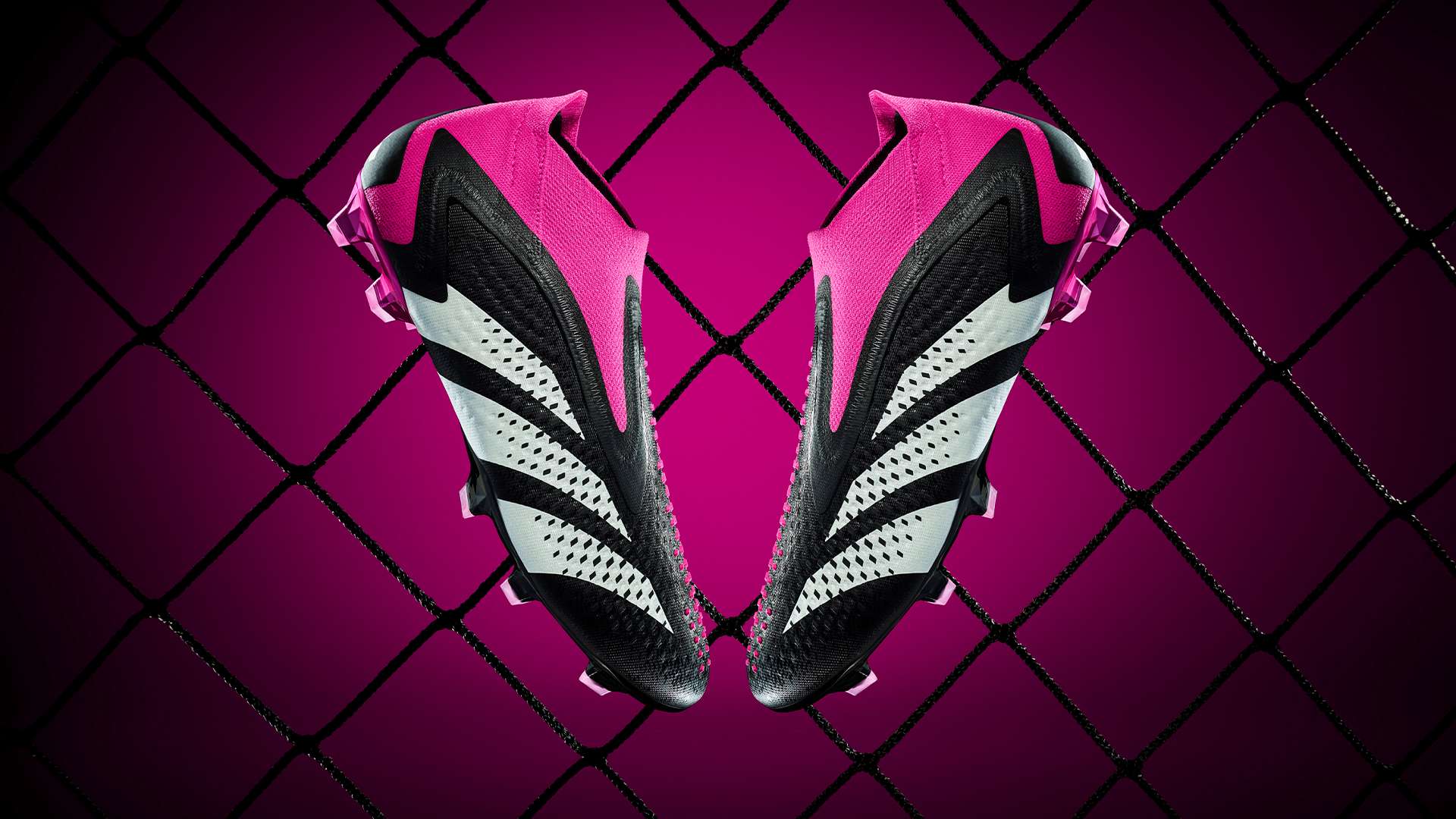 马霍姆斯则 马霍姆斯则